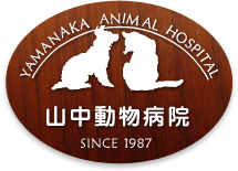 福岡市大橋の山中動物病院ホームページへ